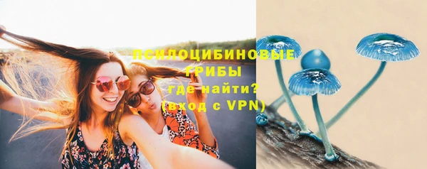 прущая мука Навашино