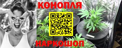 MESCALINE Камышлов