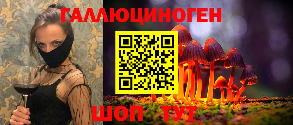 Псилоцибиновые грибы Cubensis  Вход с VPN  Тулун 