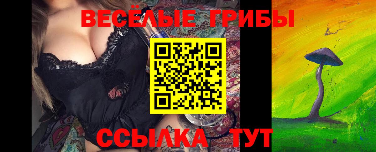 Галлюциногенные грибы Cubensis Тулун